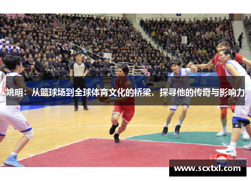姚明：从篮球场到全球体育文化的桥梁，探寻他的传奇与影响力