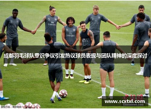 成都羽毛球队意识争议引发热议球员表现与团队精神的深度探讨