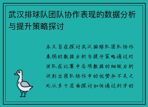 武汉排球队团队协作表现的数据分析与提升策略探讨
